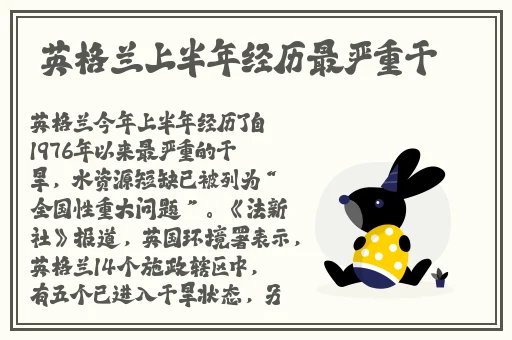 和讨厌的上司一起出差枫花恋